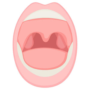 Oral Medicine & Pathology