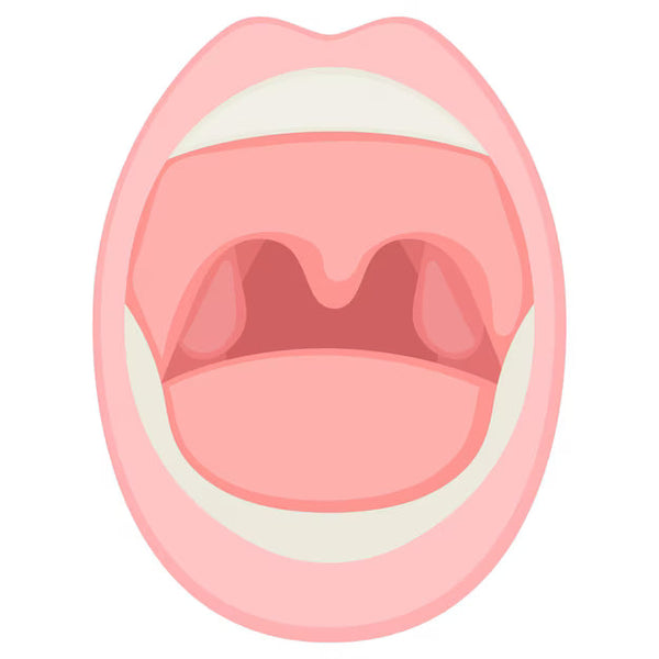 Oral Medicine & Pathology