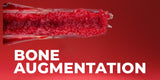 Bone Augmentation: Current Techniques