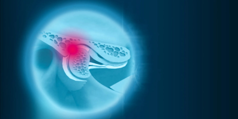 Temporomandibular disorders and orofacial pain: up-to-date treatment protocols