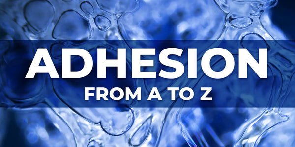 Modern adhesion