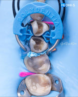 The Biomimetic Concept: Composite Restoration Protocols