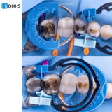 The Biomimetic Concept: Composite Restoration Protocols