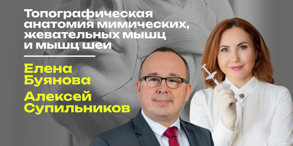 Топографическая анатомия мимических, жевательных мышц и мышц шеи