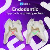 Pediatric Dentistry School