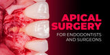 Apical Surgery: For Endodontists and Surgeons