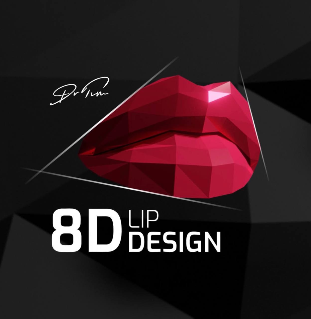 DR TIM PEARCE - 8D LIP DESIGN COURSE