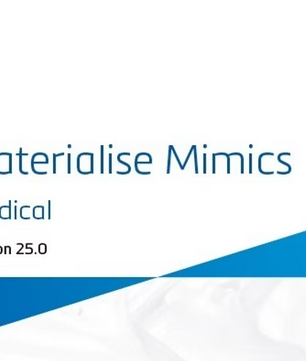 Materialise Mimics Medical 26.0  Installation Service (1 PC)