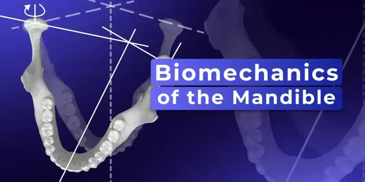 B.O.P.T.: Integrating Traditional and Digital Approaches