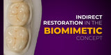 Indirect Restoration in the Biomimetic Concept