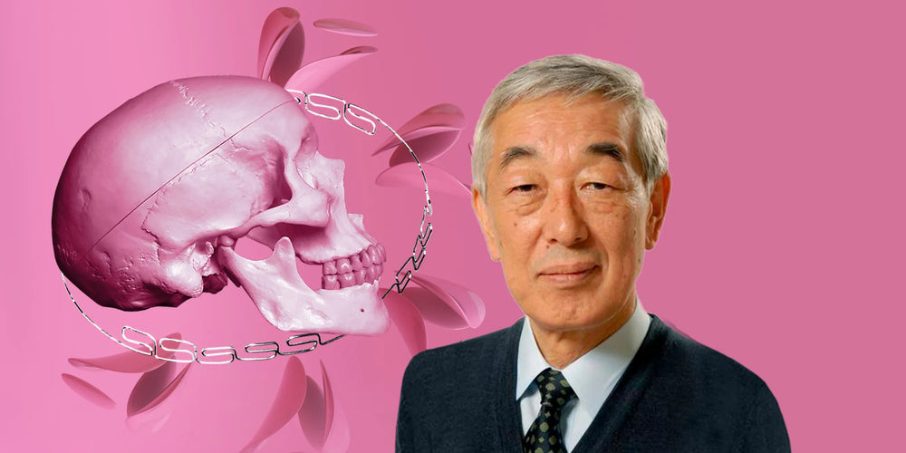 Sadao Sato occlusal concept