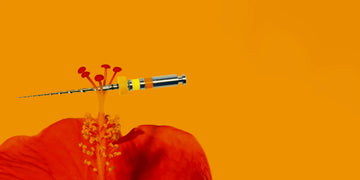 Endodontic Congress in Rome