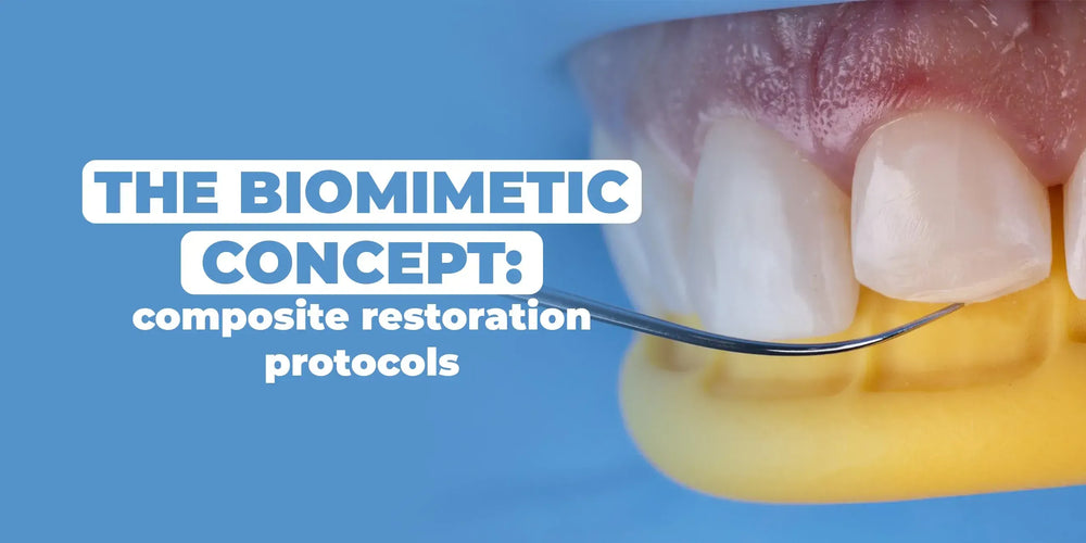 The Biomimetic Concept: Composite Restoration Protocols