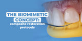 The Biomimetic Concept: Composite Restoration Protocols
