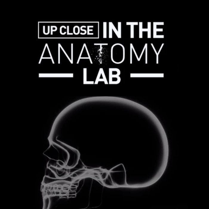 Professor Cotofana Anatomy review