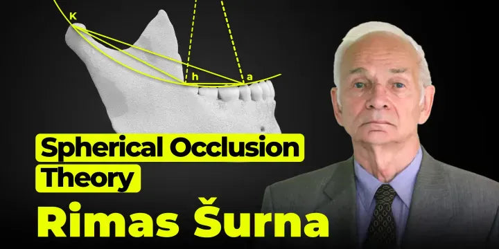 Spherical Occlusion Theory: for Dentists and Dental Technician Team