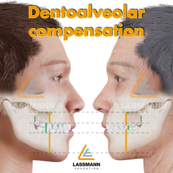 TMJ radiology and occlusion: vertical dimension, intra-articular disorders, centric relation